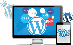 wp-310x193-1